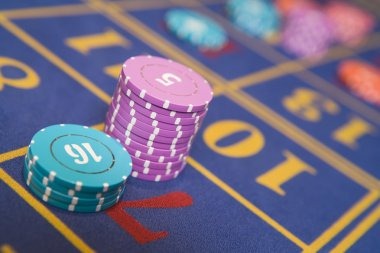 bima bet What makes Bingo stand out